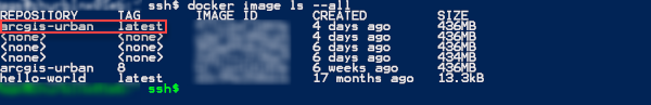Example output of the docker console check Example output of the docker console check